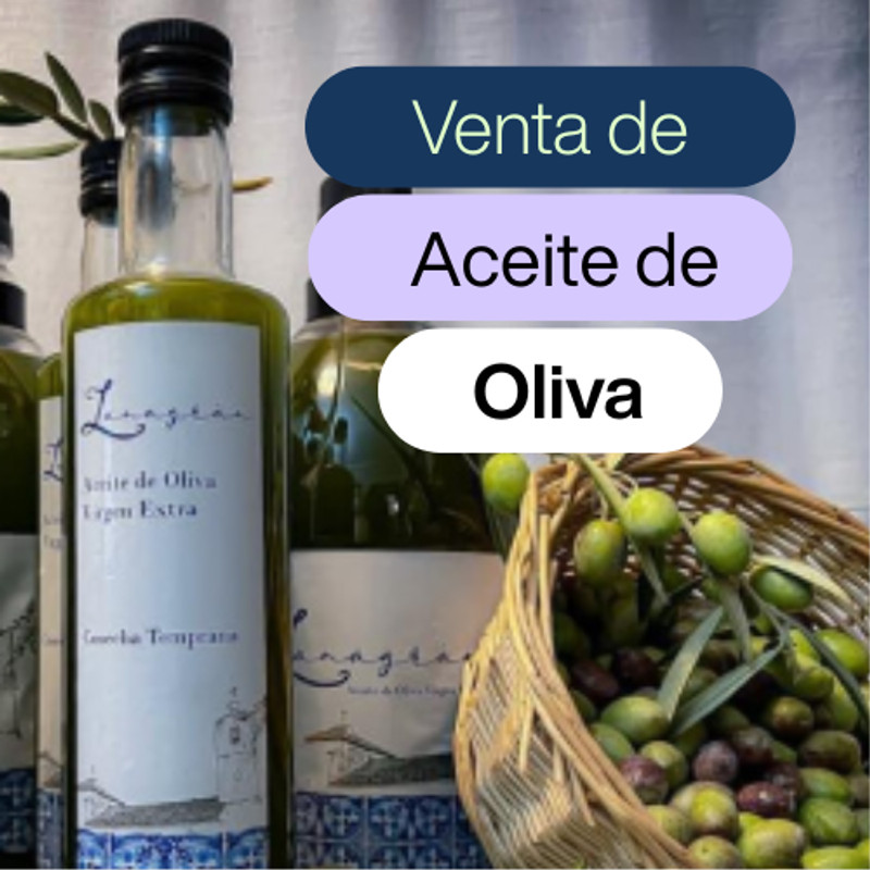 “Calidad que se saborea… ¡El aceite que transforma tus platos!”