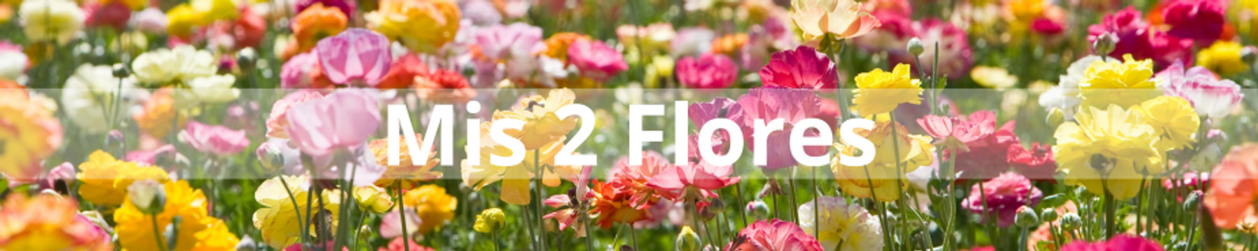 Floristeria mis dos flores